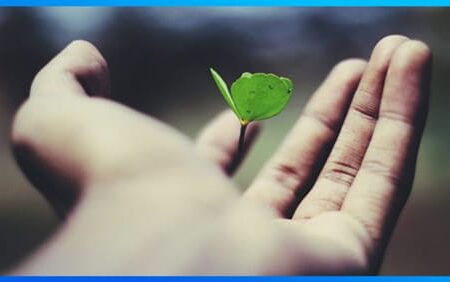 autodesarrollo-y-cinco-de-sus-beneficios