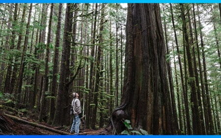 Ejemplos-de-desarrollo-personal