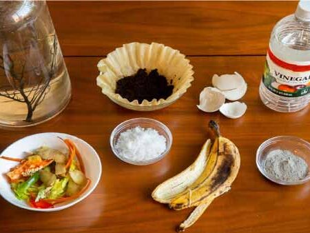Cómo-hacer-fertilizante-orgánico-en-casa