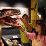 Dinosaurios-y-Pájaros
