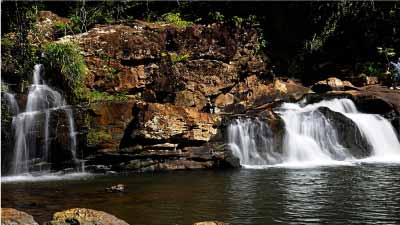 Reservas-Naturales-en-India