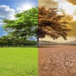 Cambio-climático 