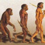 Evolución-de-la-vida
