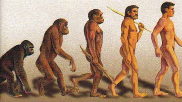Evolución-de-la-vida