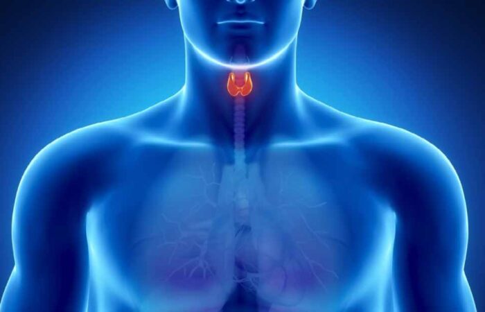 Hipertiroidismo---Síntomas-y-Tratamiento