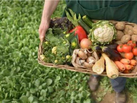 Agricultura-sostenible 