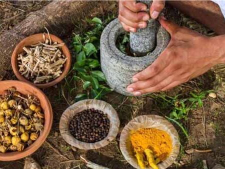 Medicina-Tradicional