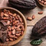 Cacao