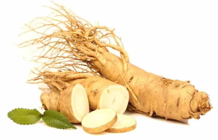 Ginseng-coreano