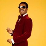 Stevie-Wonder