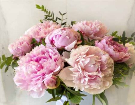 Variedades-y-significado-de-las-peonías-Una-flor-majestuosa