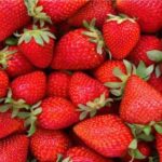Fresas