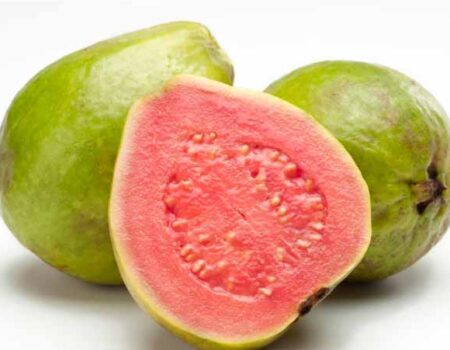 Guayaba