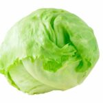 Lechuga