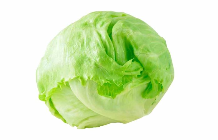Lechuga