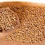Soya
