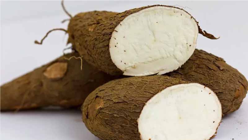 Yuca