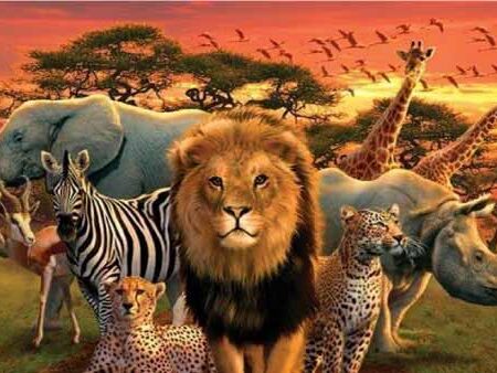 Artículo-de-Divulgación-Científica-de-Animales