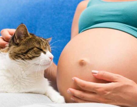 Beneficios-de-Tener-un-Gato-durante-el-Embarazo