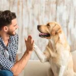 Beneficios-de-las-Mascotas-para-la-Salud
