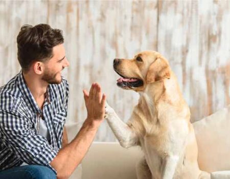 Beneficios-de-las-Mascotas-para-la-Salud