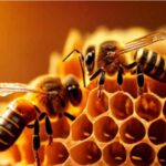 Cuál-es-el-Animal-más-Importante-del-Mundo