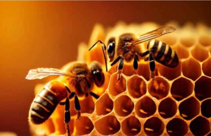 Cuál-es-el-Animal-más-Importante-del-Mundo